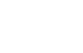 新松